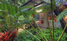 Chambers Wildlife Rainforest Lodges